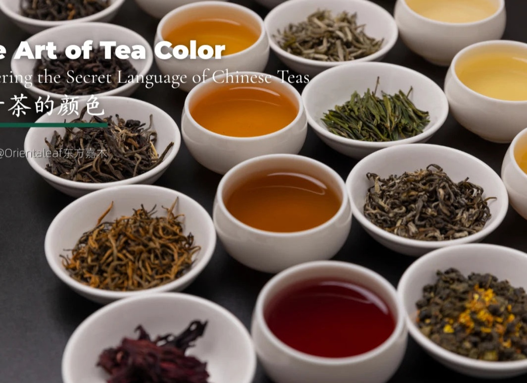 Как управлять 10 магазинами, путешествуя на яхте с семьёй